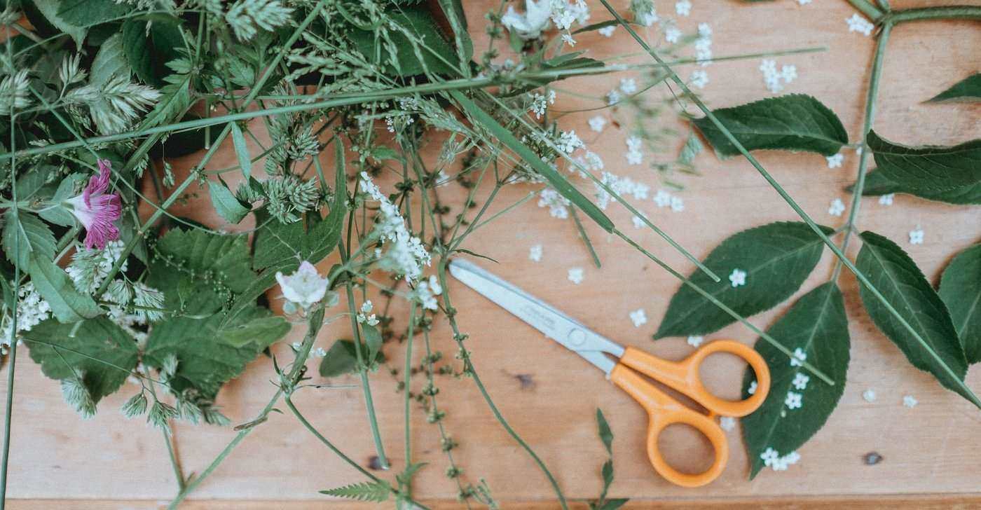 scissors and greenery - best flower clippers