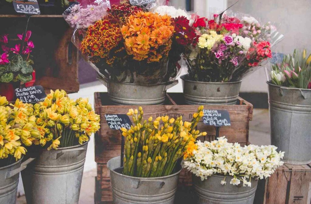 Flores em baldes para venda
