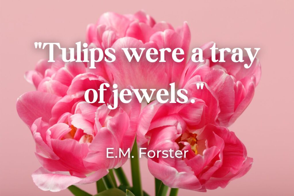 tulip quotes - (image credit: AntonMatyukha)