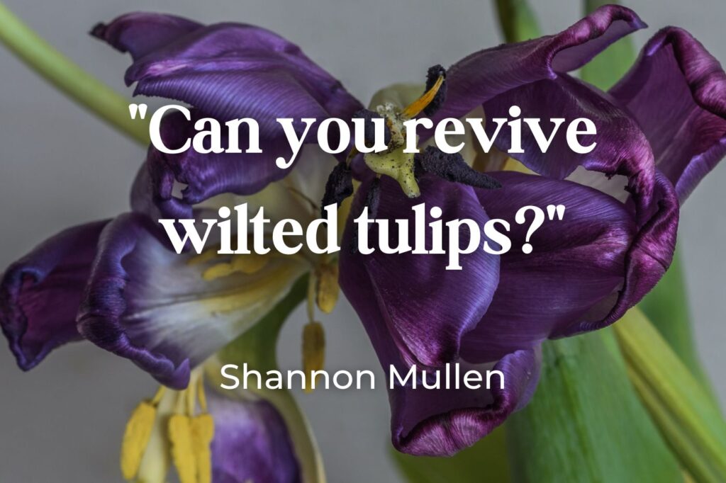 inspirational tulip quotes - (image credit: charlos.ukr.net)