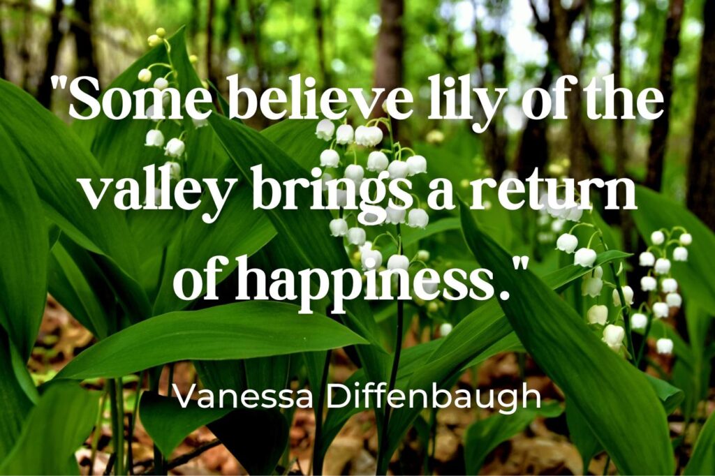 Lily of the valley quotes - (image credit: photomichel2023)