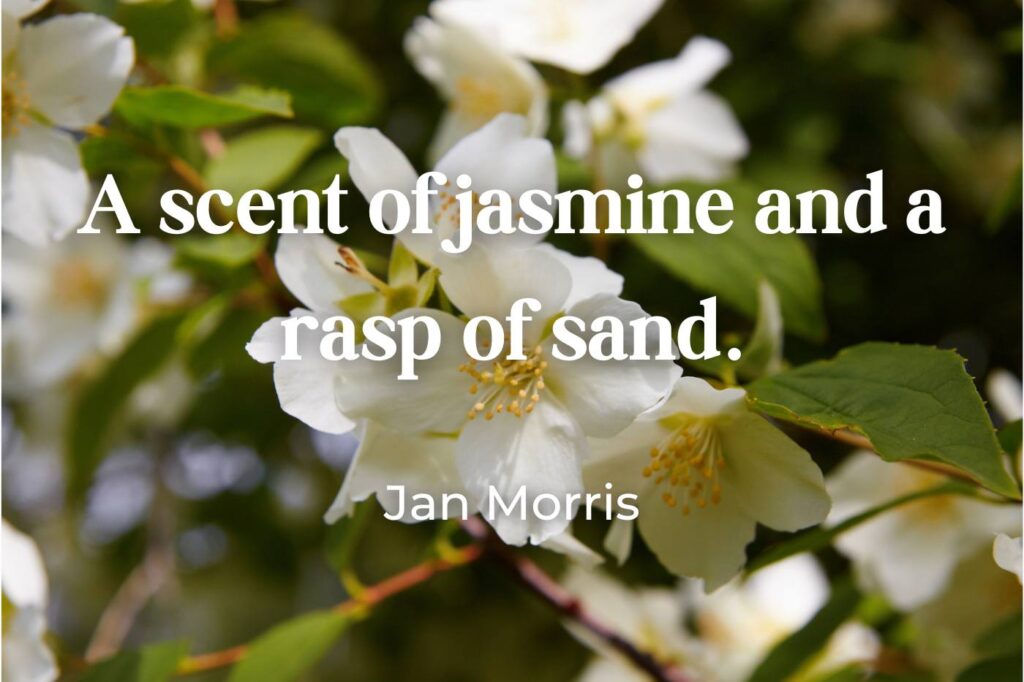 scent of jasmine quote - (image credit: Nikonas)