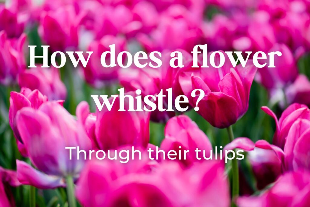 flower puns - flower whistle - (image credit: VitalikRadko)