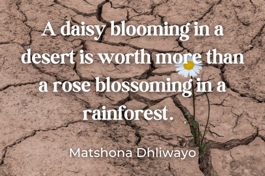 daisy blooming in a desert quote (image credit: KPixMining)