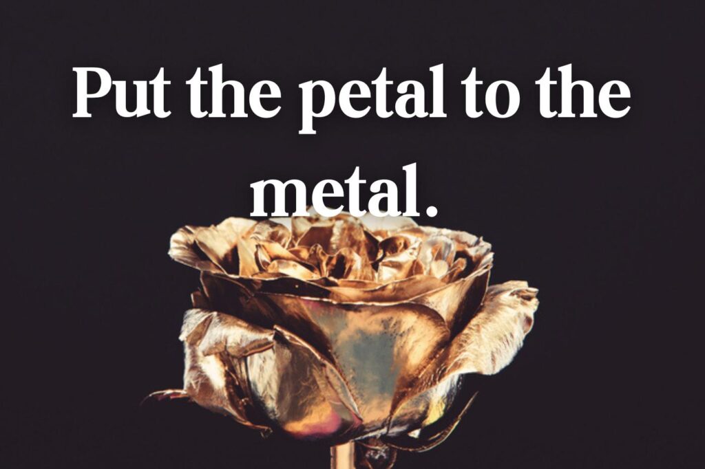 put the petal to the metal - (image credit: stetsik)