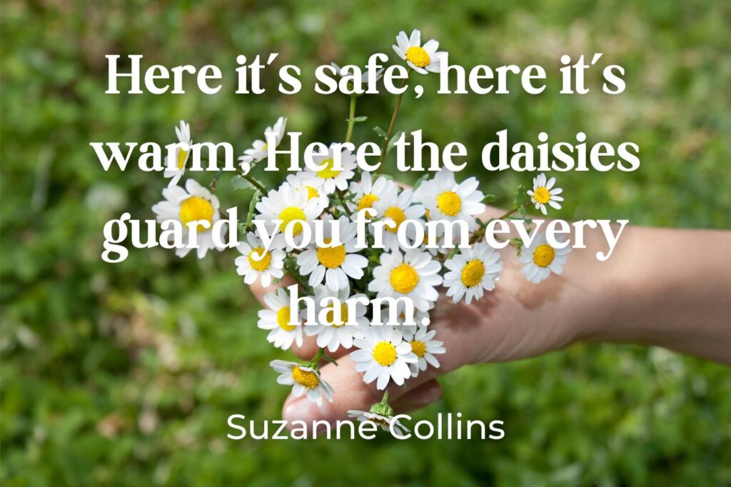 quotes about daisies - (image credit: JoseMagon)