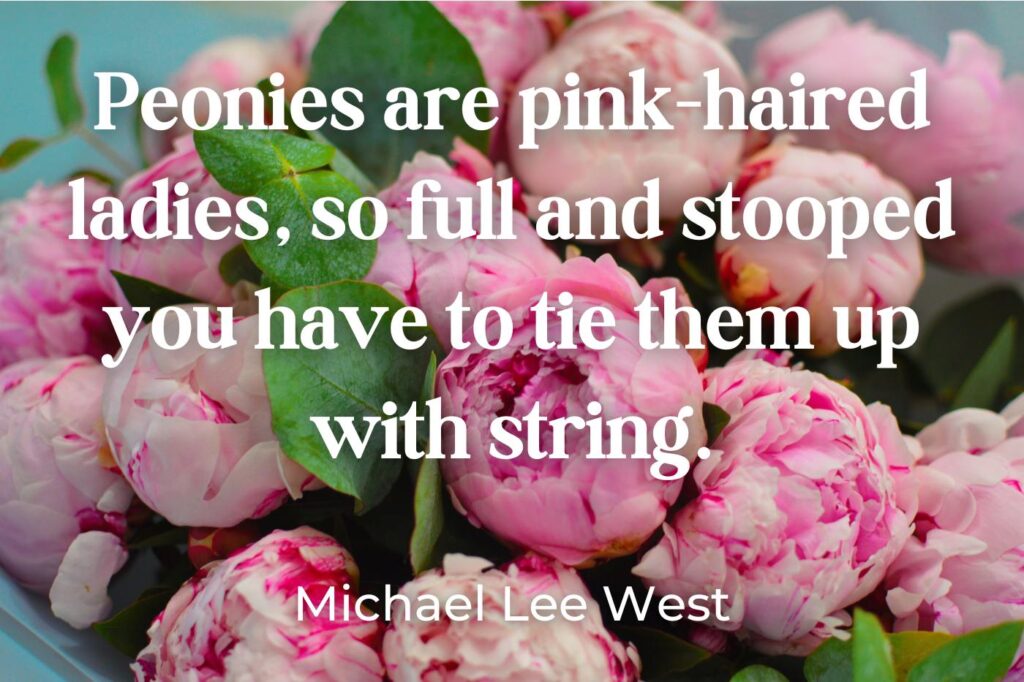 peonies pink haired ladies quote - (image credit: Vika200581.mail.ru)