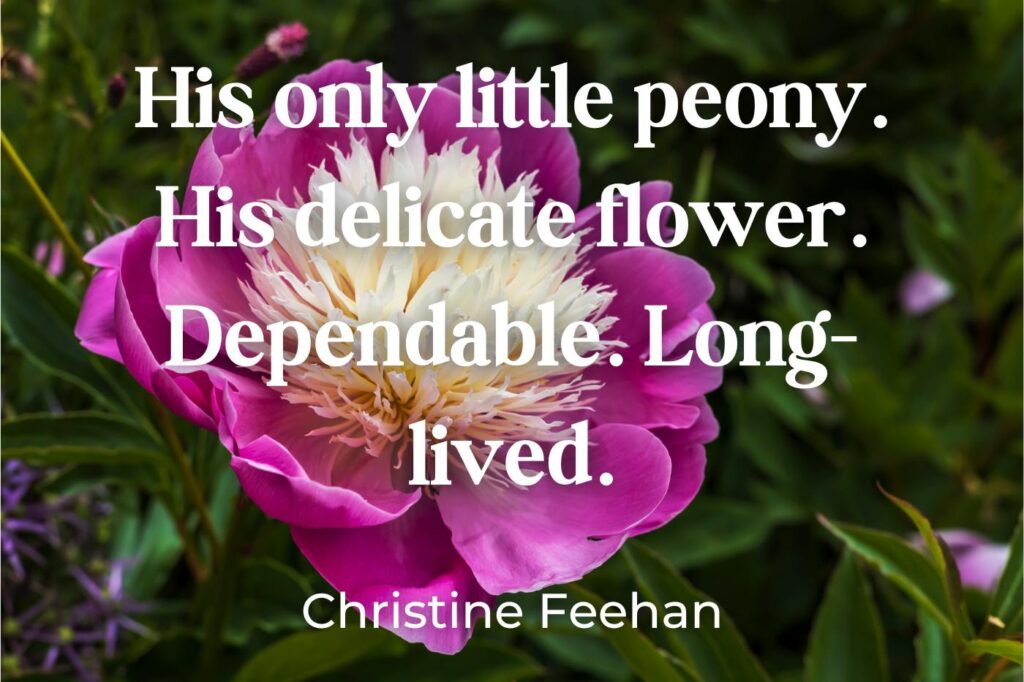 peony love quotes - (image credit: Debu55y)