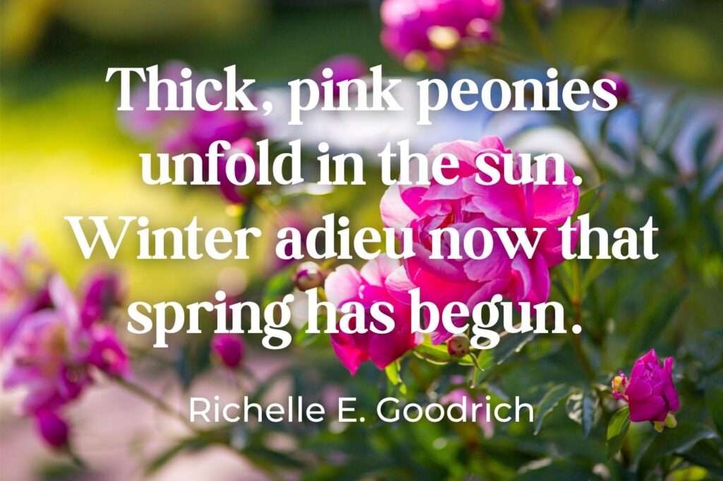 inspirational peony quotes - (image credit: da.antipina)