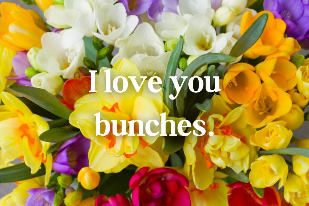 flower puns for valentine's day - i love you bunches - (image credit: Neirfys)