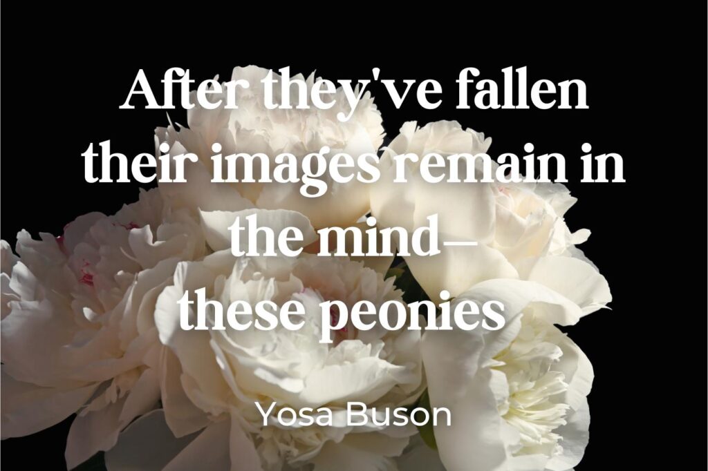 peonies quotes - (image credit: belchonock)