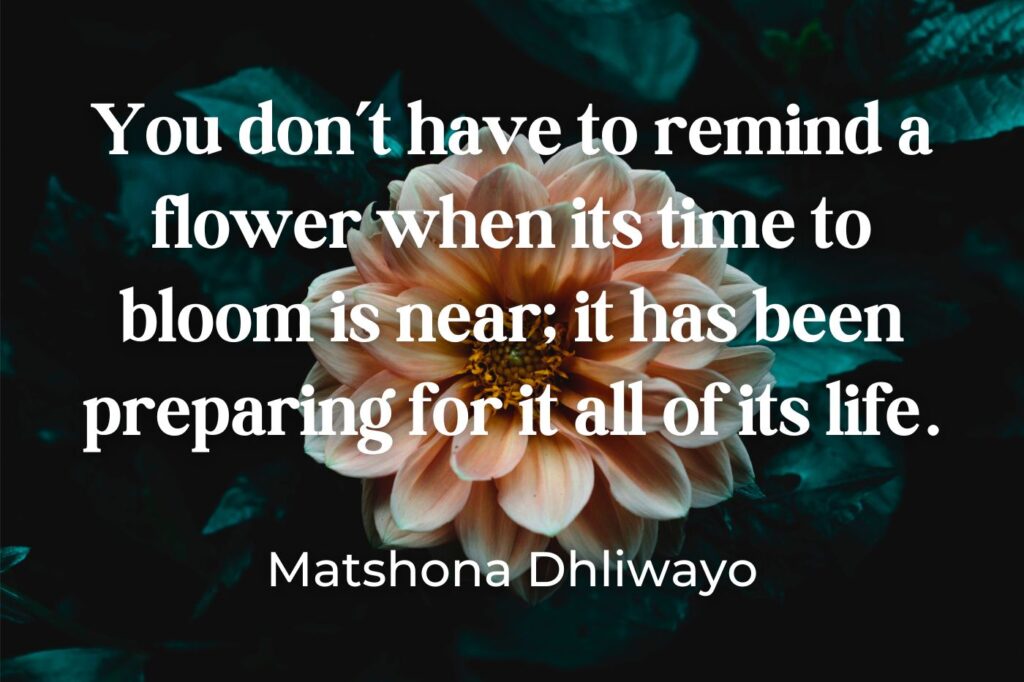 time to bloom quote - (image credit: TheFactoryofLight)