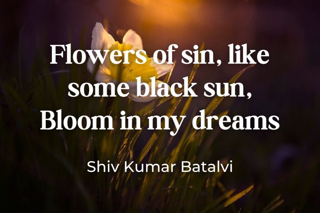 flowers of sin - deep bloom quotes - (image credit: BalazsKovacs)