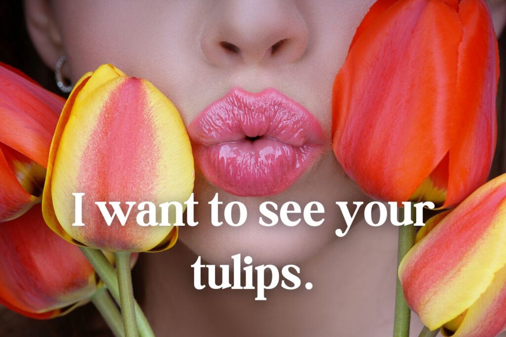 romantic tulip puns - (image credit: Tverdohlib.com)