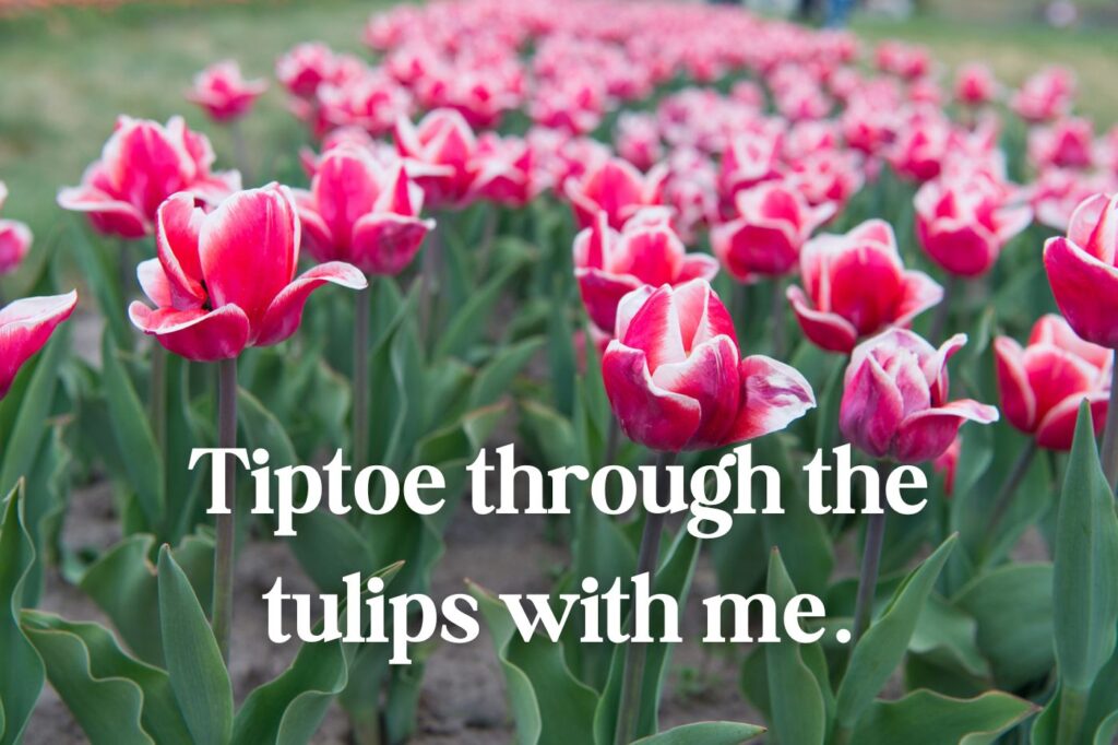 Puns with the Word Tulip - (image credit: Stetsik)