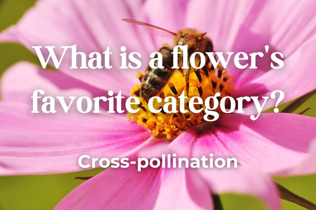 dirty flower jokes - (image credit: Taden1)