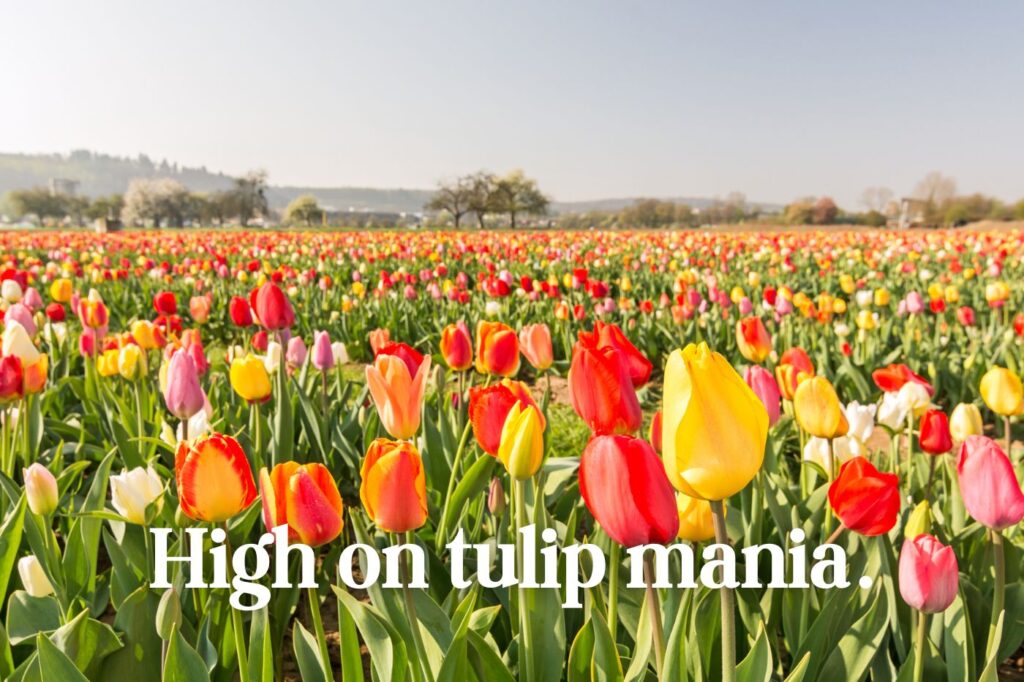 tulip puns for instagram - (image credit: calado)