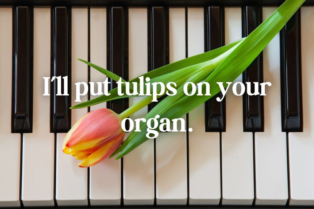 tulip puns - (image credit: CaptureLight)