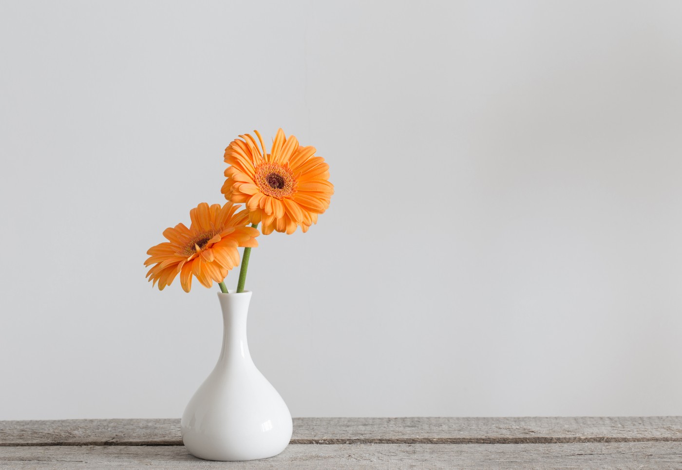 gerbere arancioni in vaso bianco - usare i fiori per portare energia positiva nella casa