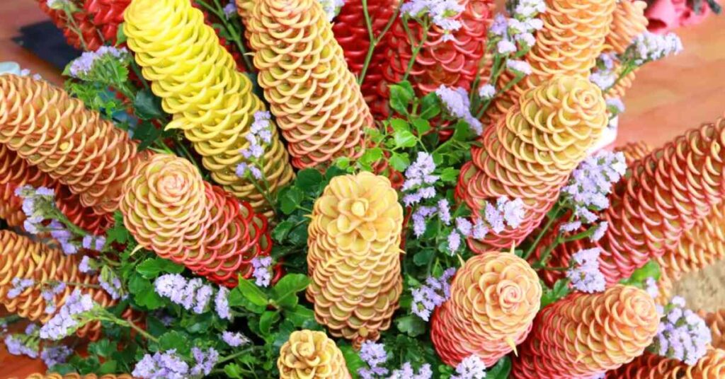 Beehive Ginger Flower (Zingiber spectabile)