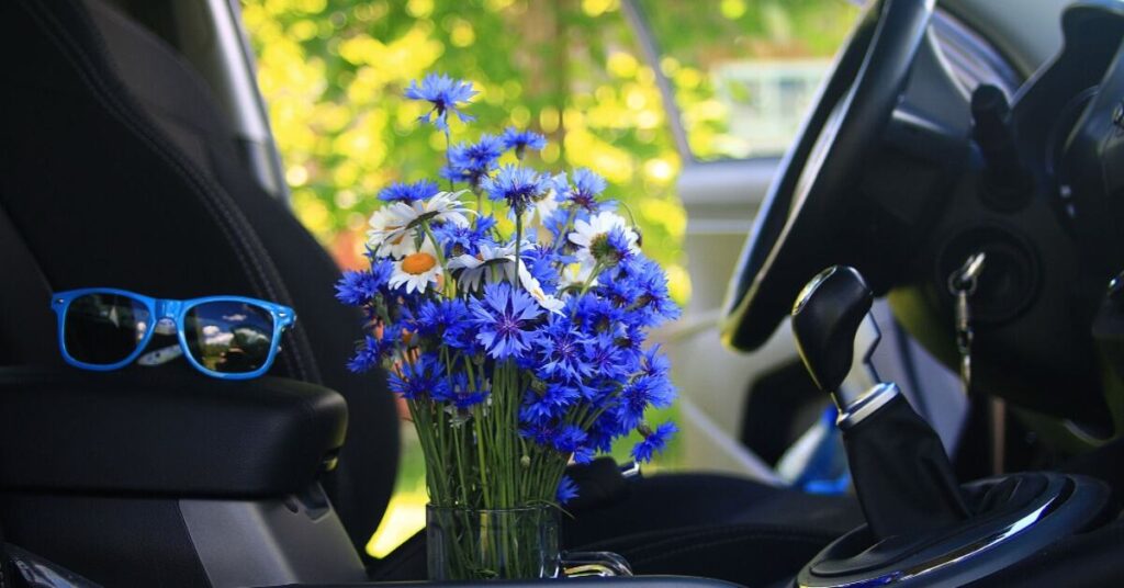 Fiori del bottone del celibato - Si possono lasciare fiori in auto? 